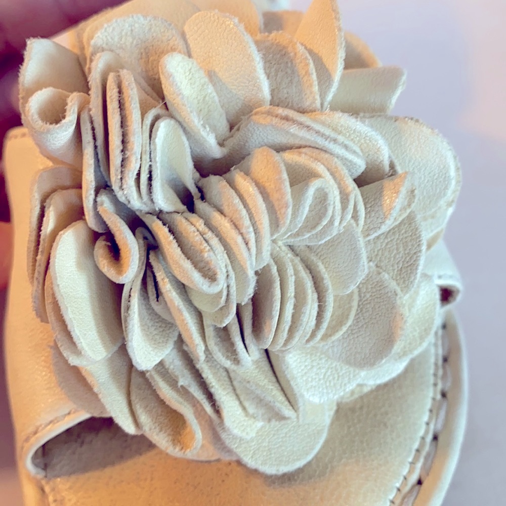 Born wedges